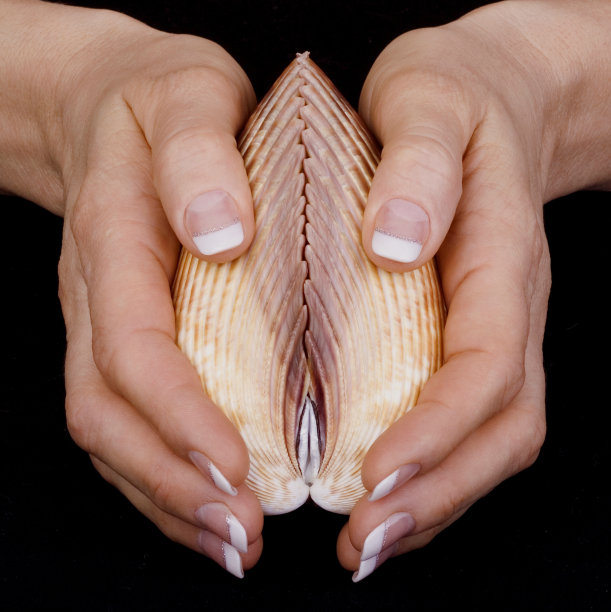 海上明珠图片下载