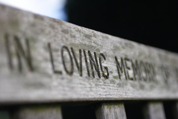 纪念的长椅上图片下载