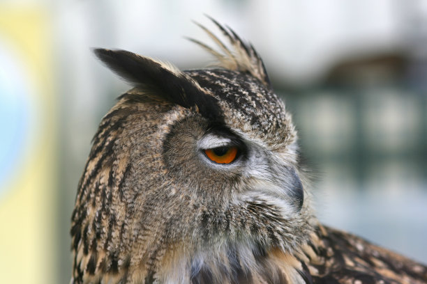 看着你图片下载