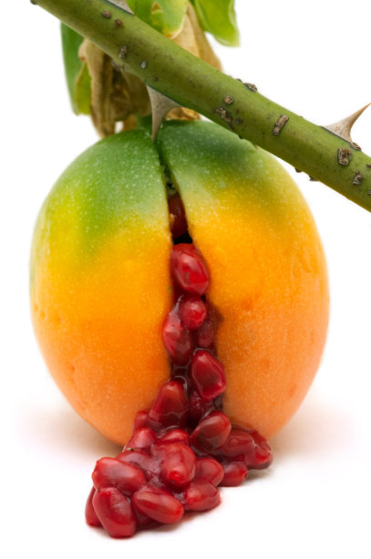 容易消化的图片下载