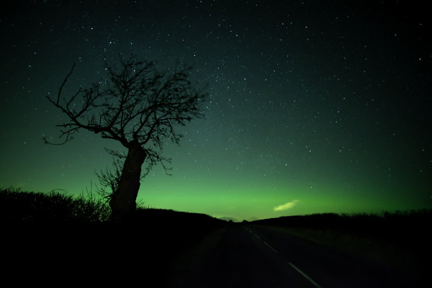 北极光图片下载