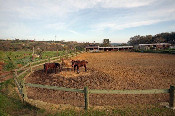 马场图片下载