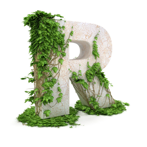 常春藤字母R孤立在白色背景上。图片下载