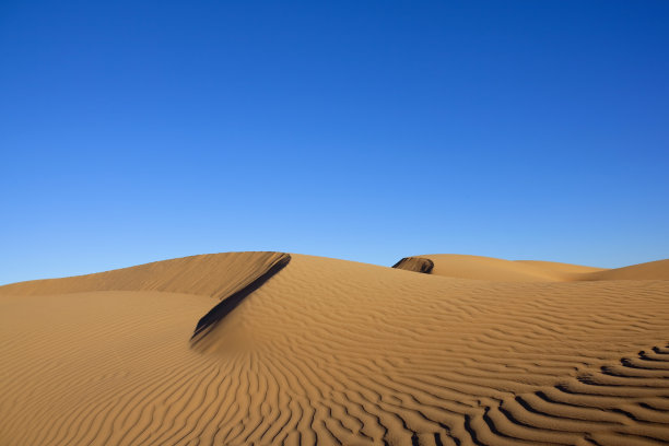 沙漠沙丘和清澈的蓝天图片下载