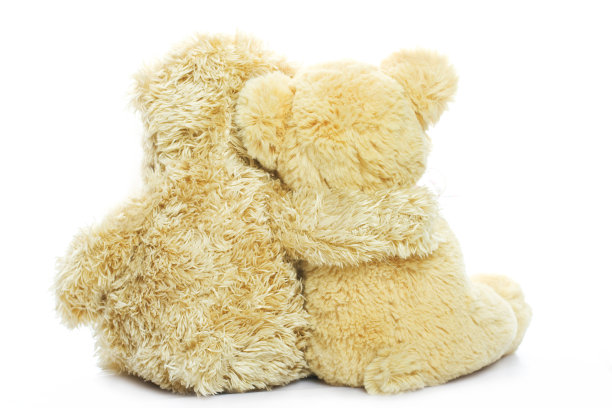 两个熊坐在图片下载