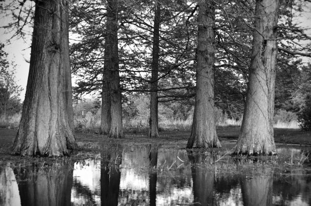 沉睡的巨人图片下载