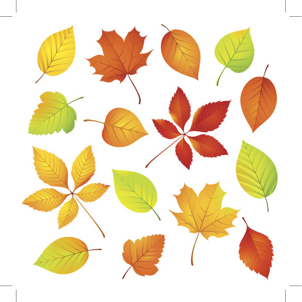 秋叶之静美。图片下载