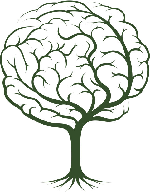 大脑树图图片下载