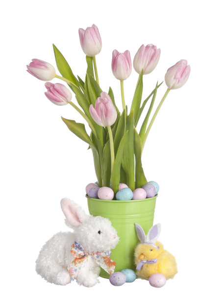 郁金香和复活节兔子，小鸡和糖果图片下载