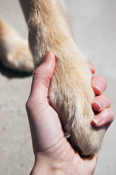 最好的朋友握手图片下载
