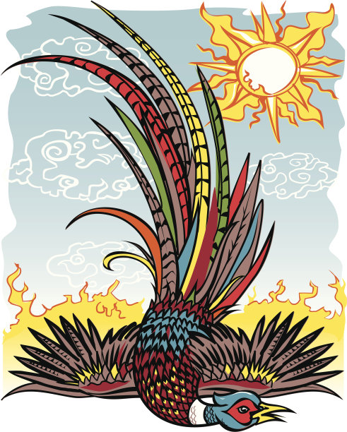 野鸡落图片下载