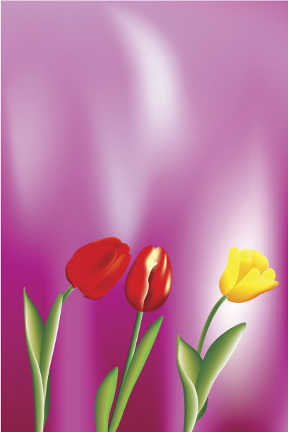 郁金香图片下载