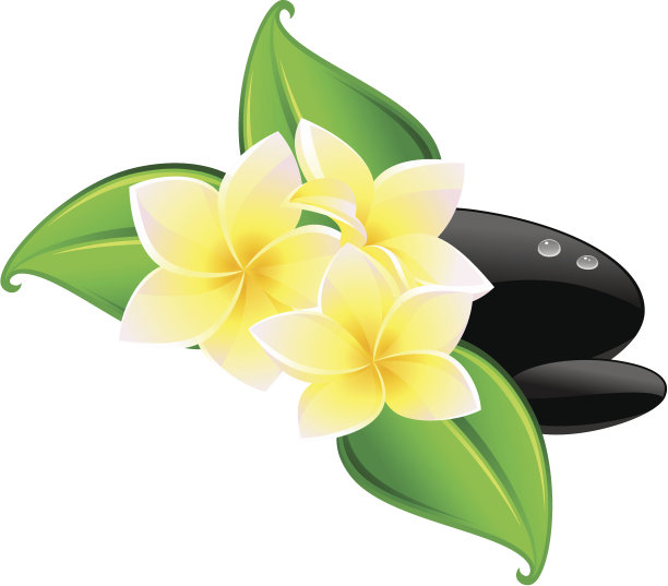 温泉石头和鲜花图片下载