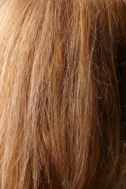 暗栗色头发特写图片下载