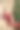 一个美丽的女人在圣诞树旁的肖像图片下载