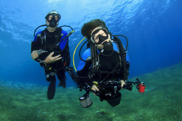 情侣一起潜水图片下载