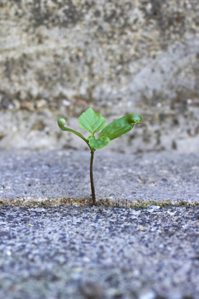 自然反击战图片下载