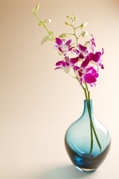 背景上是蓝色花瓶里的兰花图片下载