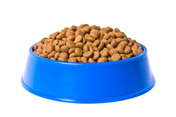 猫粮照片素材专题