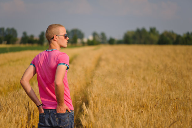 麦田里的年轻人图片下载