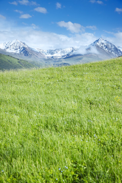 高山草甸和高山图片下载