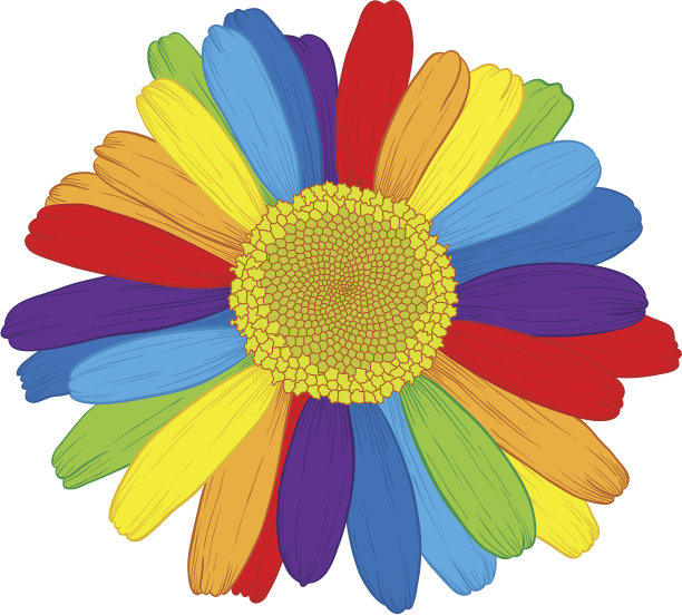 矢量彩色菊花。图片下载