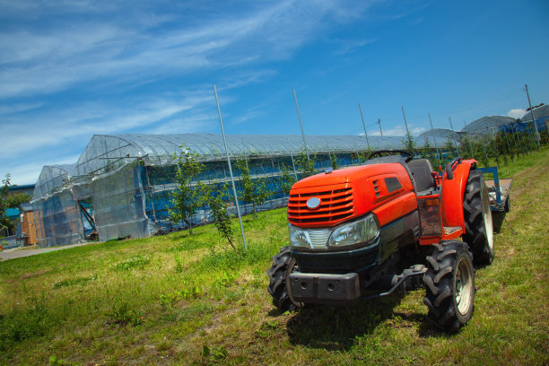 日本北海道草莓园图片下载