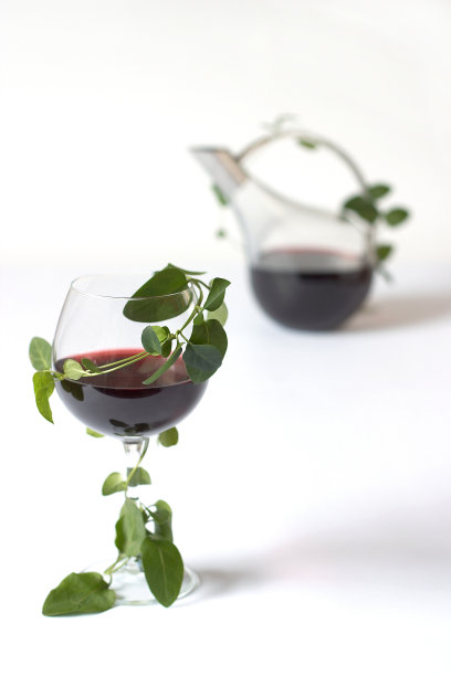 红酒加水瓶图片下载