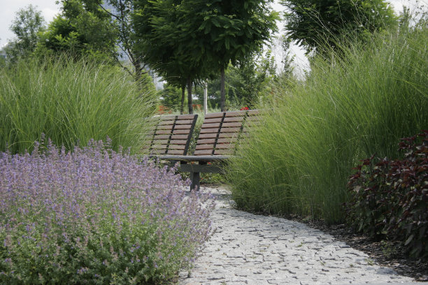 舒适的花园图片下载