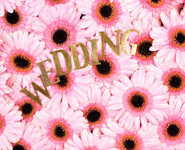 婚礼上的粉色非洲菊图片下载