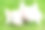 小猪在绿草地上素材图片