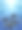 海豚图片下载