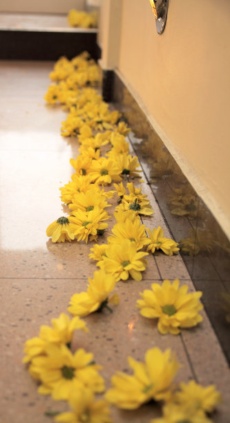 走廊上的花图片下载