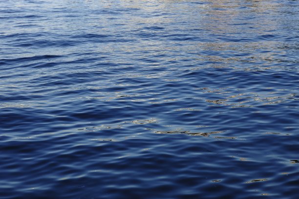 表面的河。图片下载