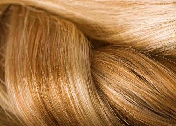 人类发质(©Lobke Peers)图片下载