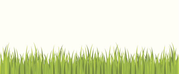 无缝的春天草图片下载