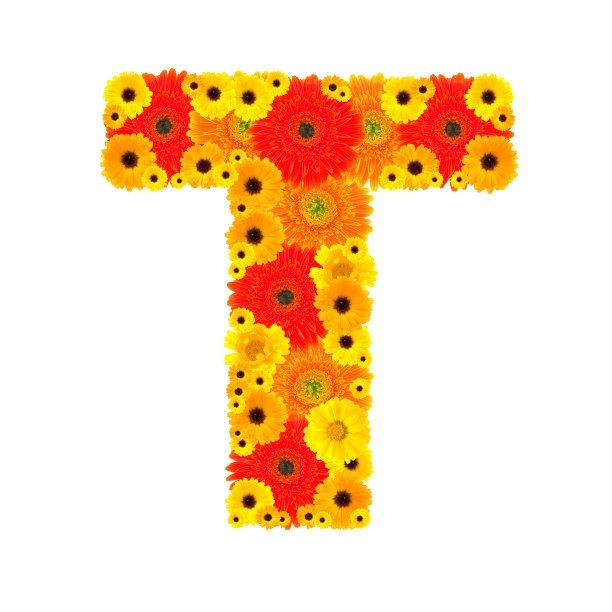 花字母- T图片下载