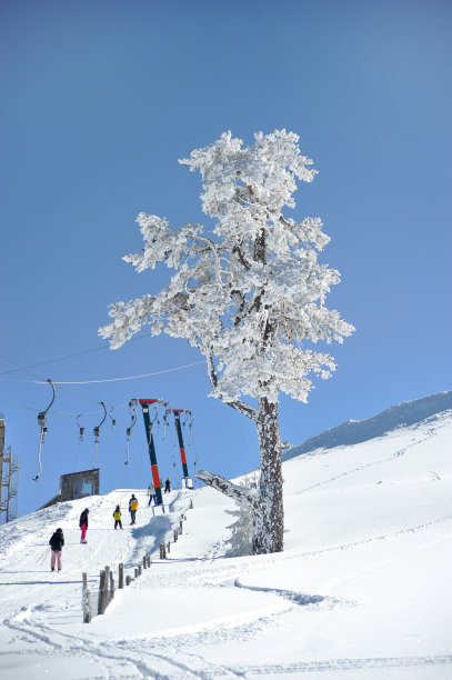 bolu(土耳其)山上的滑雪缆车图片下载