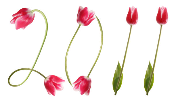 新的一年图片下载