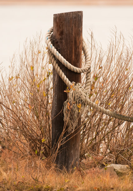 哀痛之后好图片下载