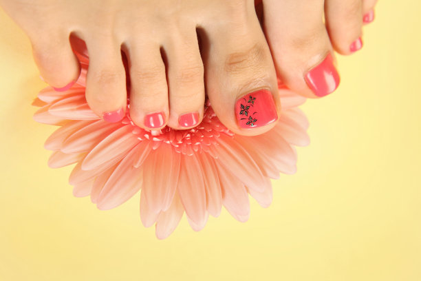 身体部分图片下载