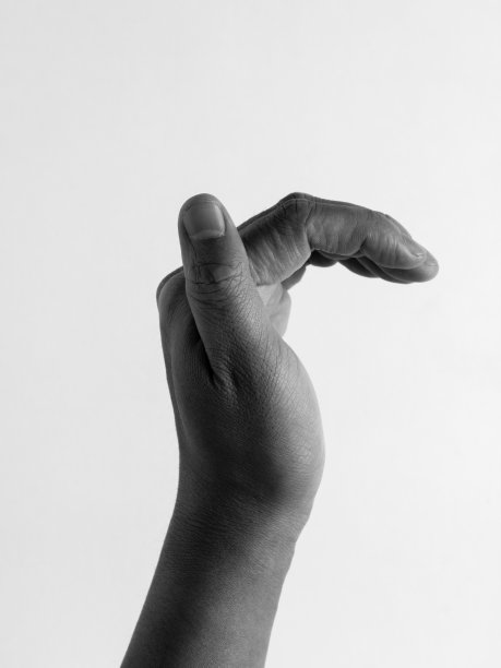 白色背景下的人手特写镜头图片下载