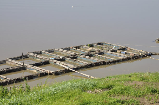 筏自然户外河湄公河泰国图片下载