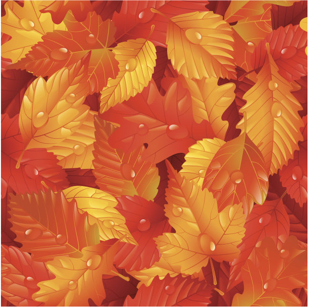 潮湿的树叶。秋天的无缝的背景图片下载