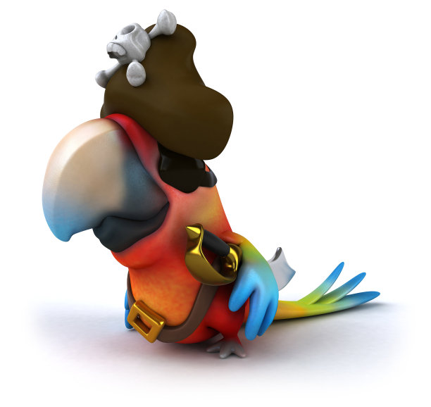 有趣的鹦鹉海盗图片下载