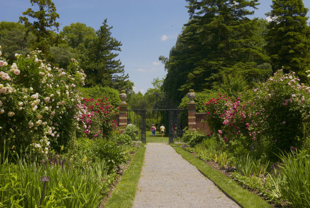 正式的花园图片下载