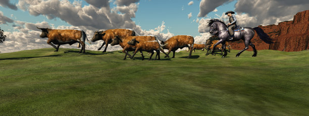 牛的综述图片下载