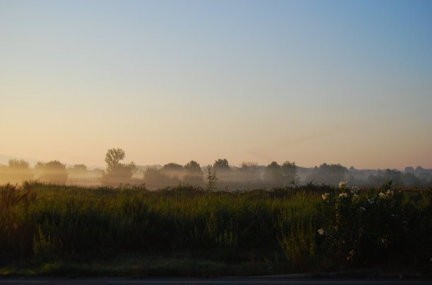 路边的田野上，太阳升起的光束形成的雾图片下载