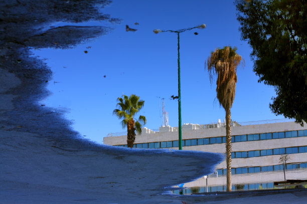 水坑中的特拉维夫图片下载