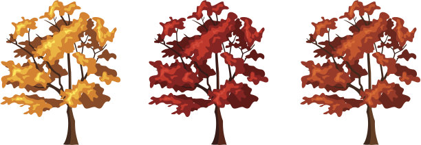 三棵秋天的树。矢量插图。图片下载